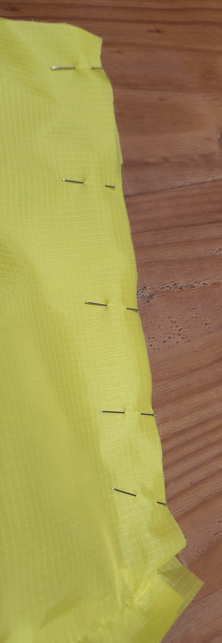 pin